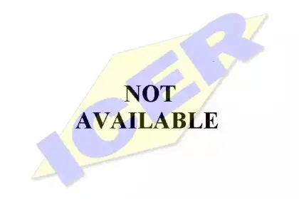 icer-21353200